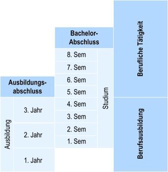 Struktur des Studiengangs